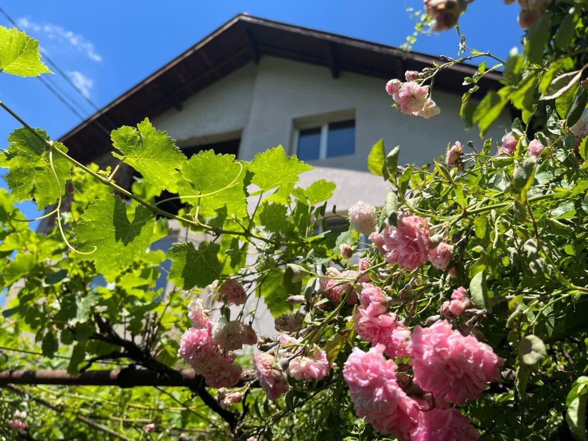 ������� ���� | Imot.bg � ����������� 17