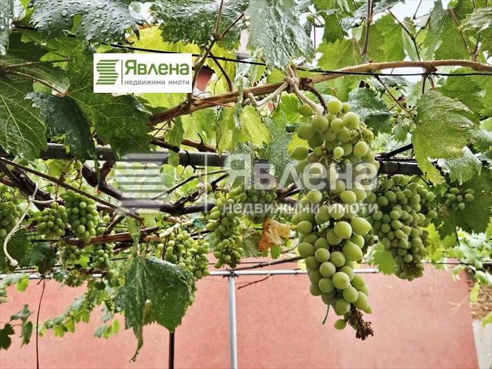 Zu verkaufen  Haus region Plewen , Telisch , 610 qm | 50560439 - Bild [6]