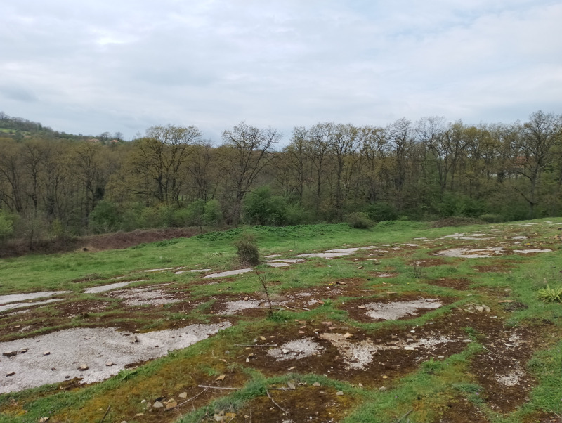 Na prodej  Přistát oblast Varna , Solnik , 9 dka | 68706759 - obraz [12]