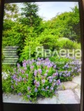 Продава КЪЩА, област Варна, с. Доброглед • 35000 € • 50976739 — Holmes.bg