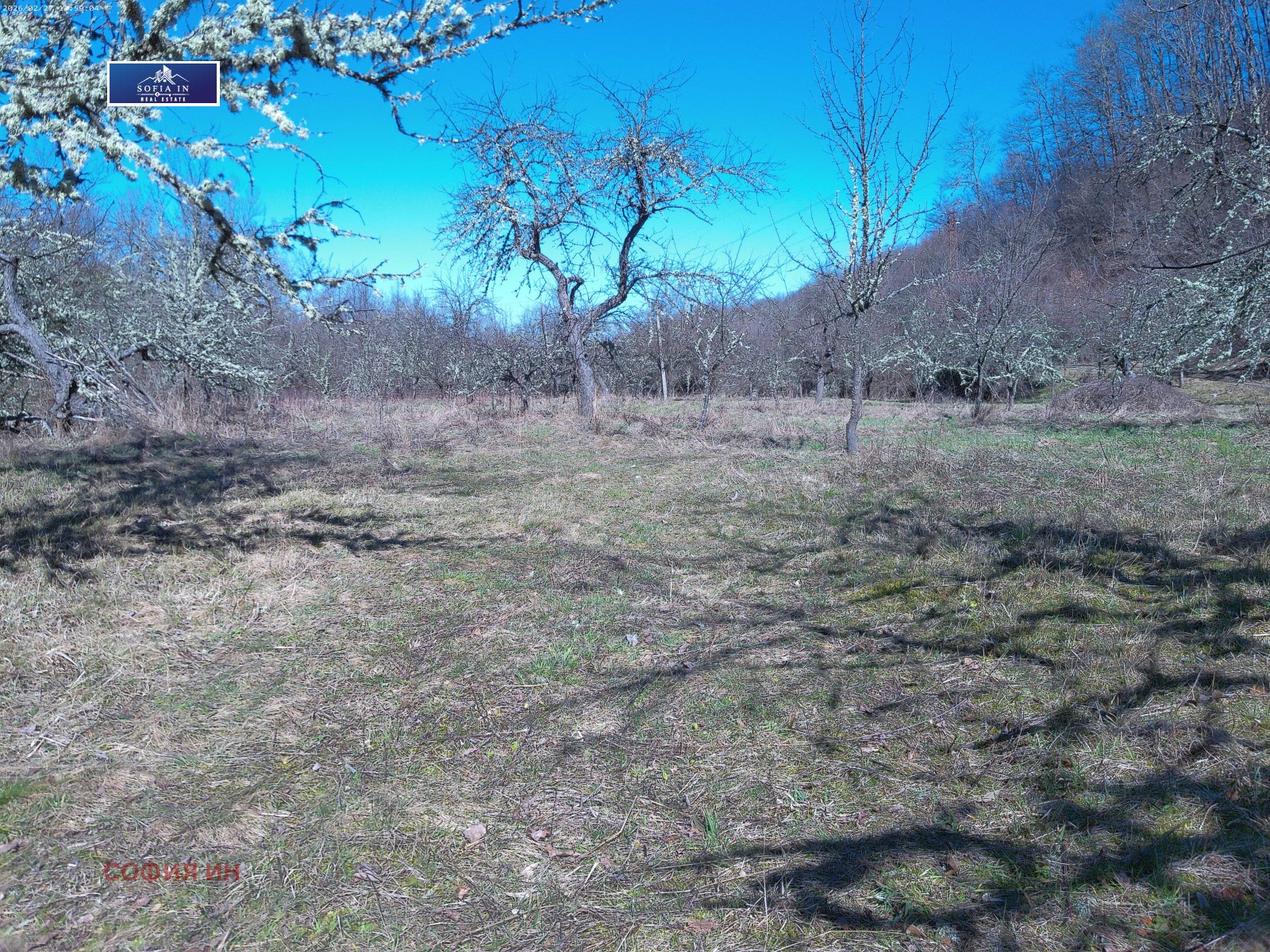 ������� ������ | Imot.bg � ����������� 2