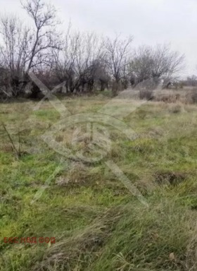 Juoni Tatarevo, Plovdivin alue