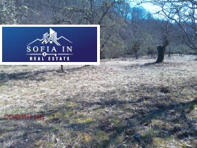 ����� ������� ������,�. �����, ������ ������