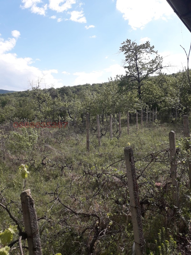 Продава ПАРЦЕЛ, с. Долно вършило, област Пазарджик, снимка 4 - Парцели - 52450149