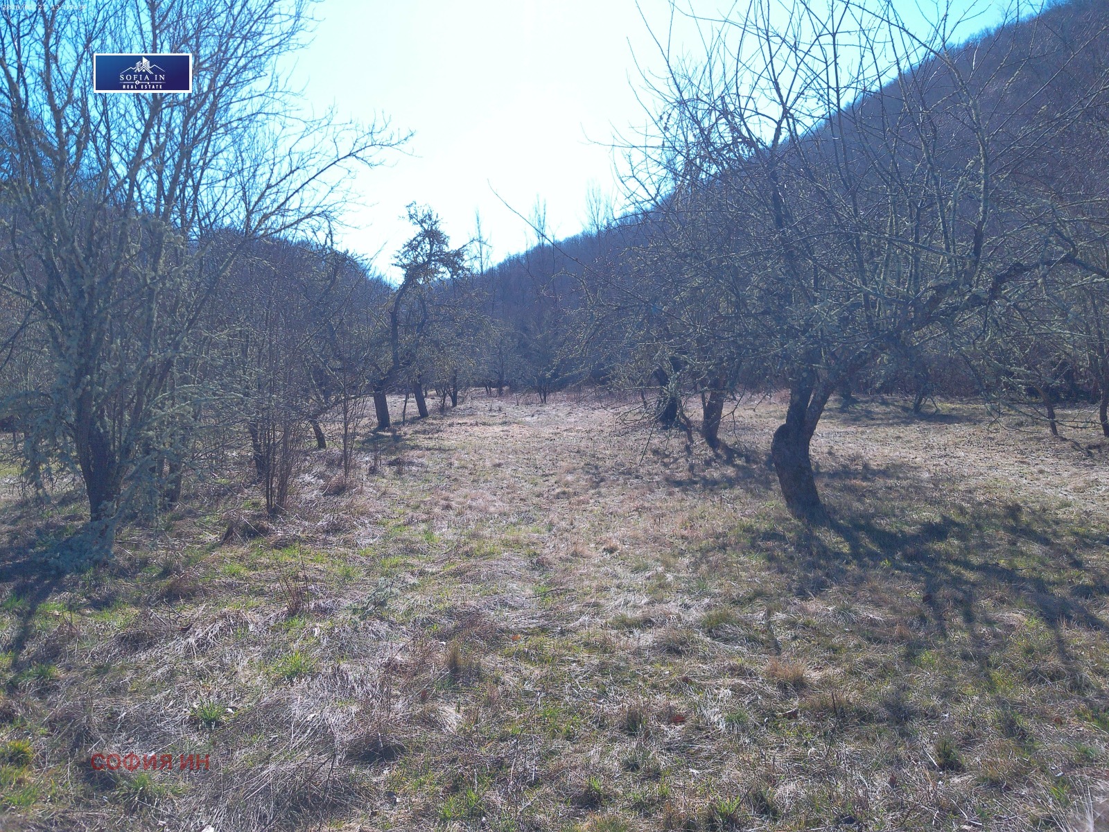 Продава ПАРЦЕЛ, с. Извор, област Перник, снимка 2 - Парцели - 53647141