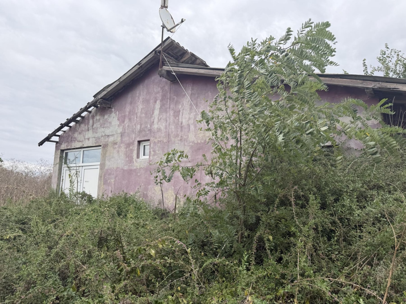 ������� ����. ��������� | Imot.bg � ����������� 1