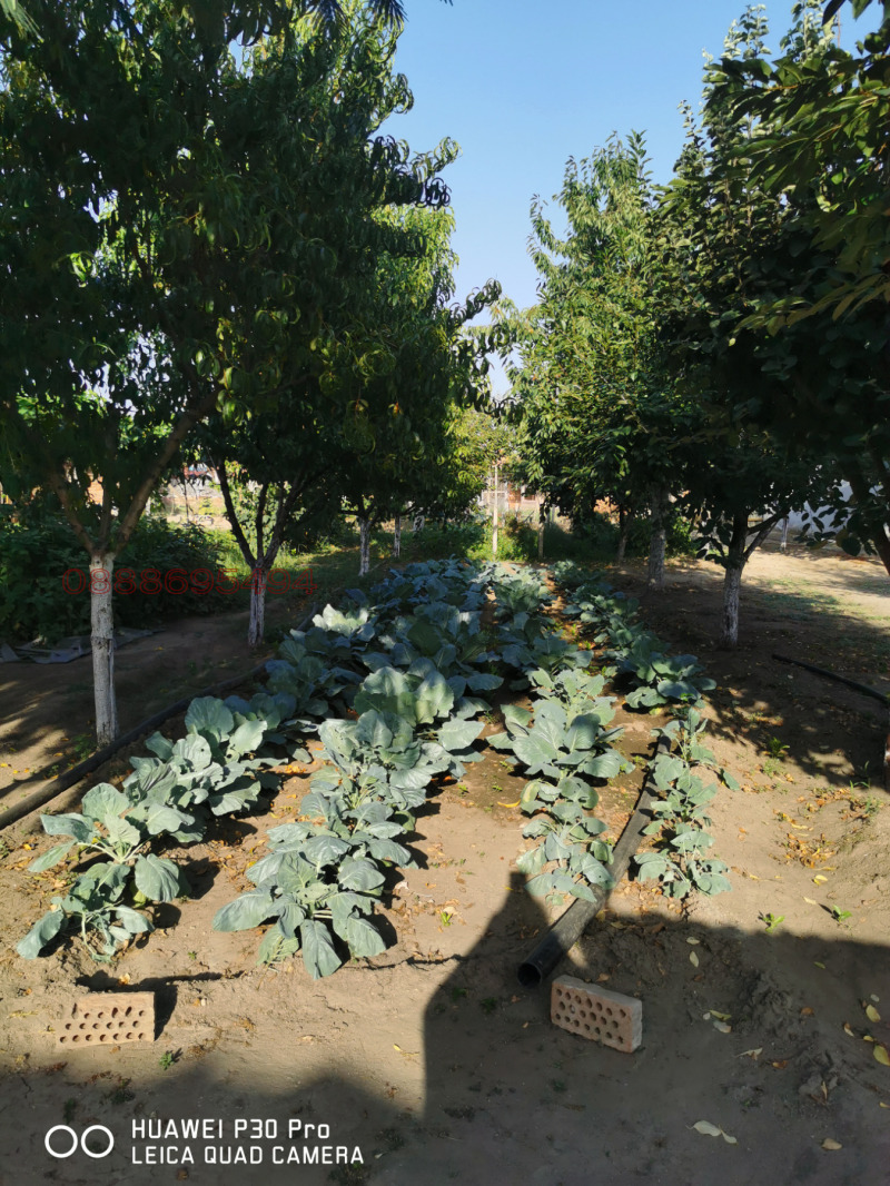 Na prodej  Dům oblast Plovdiv , Goljam čardak , 154 m2 | 25575137 - obraz [15]