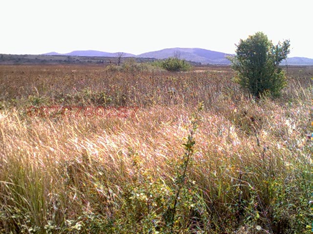 Продава ПАРЦЕЛ, с. Равадиново, област Бургас, снимка 4 - Парцели - 54420186