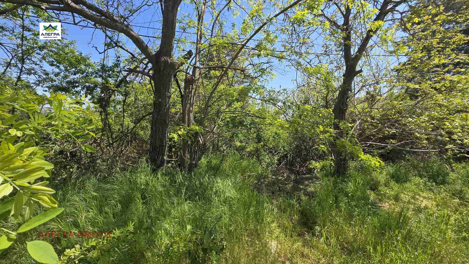 Продава ПАРЦЕЛ, с. Паталеница, област Пазарджик, снимка 2 - Парцели - 54364611