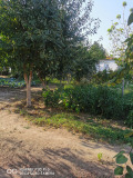 Продава КЪЩА, област Пловдив, с. Голям чардак • 70000 € • 37549823 — Holmes.bg