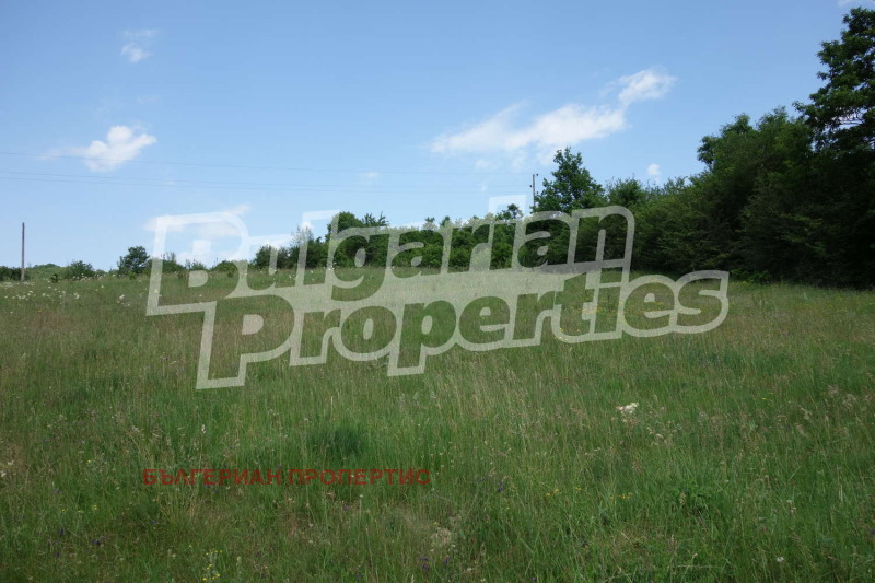 Продава ПАРЦЕЛ в област Габрово, гр. Трявна - 4666 кв.м / 62 000 € » 121 261.46 лв., БЪЛГЕРИАН ПРОПЕРТИС