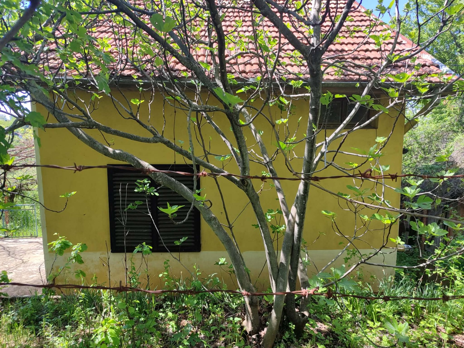 ������� ���� | Imot.bg � ����������� 17
