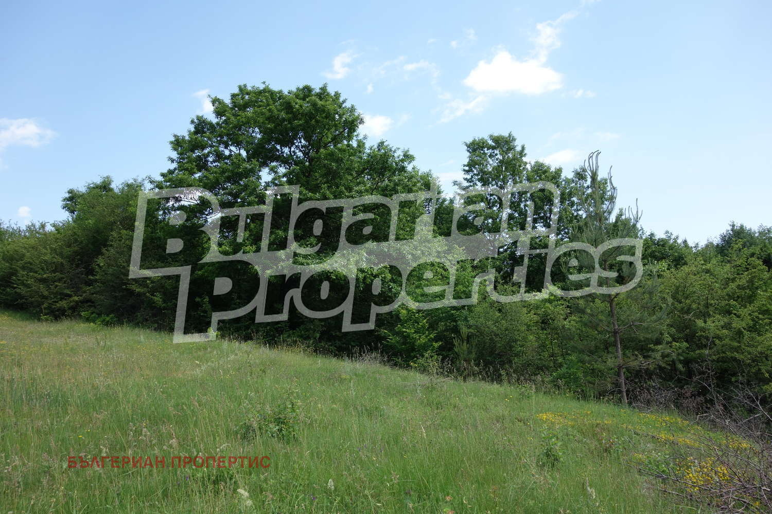 Продава ПАРЦЕЛ | Imot.bg — изображение 3