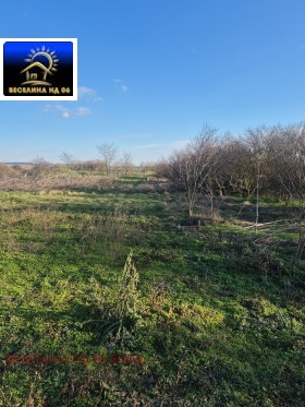 ������ ������� ������