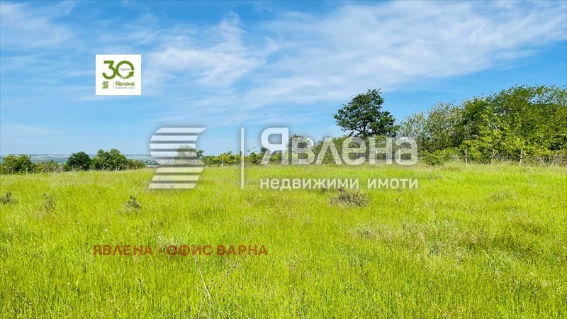 Продава  Парцел област Варна , с. Бенковски , 4500 кв.м | 13910406 - изображение [2]