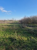 Продава ПАРЦЕЛ, с. Генерал Колево, област Добрич, снимка 1