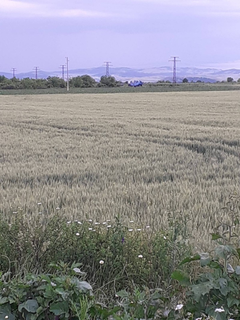 For Sale  Plot region Burgas , Pomorie , 14506 sq.m | 59338294 - image [4]