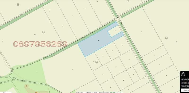 Продава ЗЕМЕДЕЛСКА ЗЕМЯ, с. Царичино, област Добрич, снимка 3 - Земеделска земя - 53022513