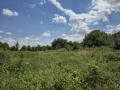 Продава ПАРЦЕЛ, област Велико Търново, с. Хотница • 79000 € • 92824694 — Holmes.bg