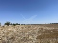 Продава ПАРЦЕЛ, област Пловдив, с. Царацово • 10000 € • 91148277 — Holmes.bg