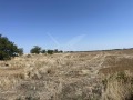 Продава ПАРЦЕЛ, област Пловдив, с. Царацово • 10000 € • 91148277 — Holmes.bg