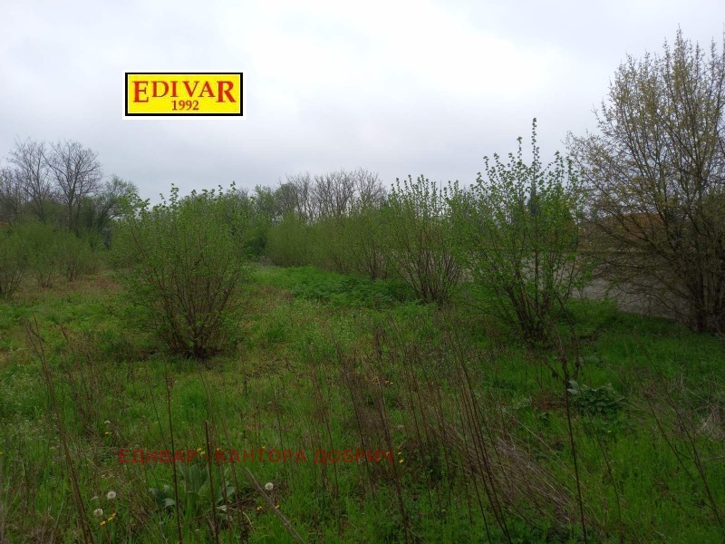 Продава ПАРЦЕЛ в област Добрич, с. Методиево - 3010 кв.м / 17 200 € » 33 640.28 лв., ЕДИВАР - КАНТОРА ДОБРИЧ