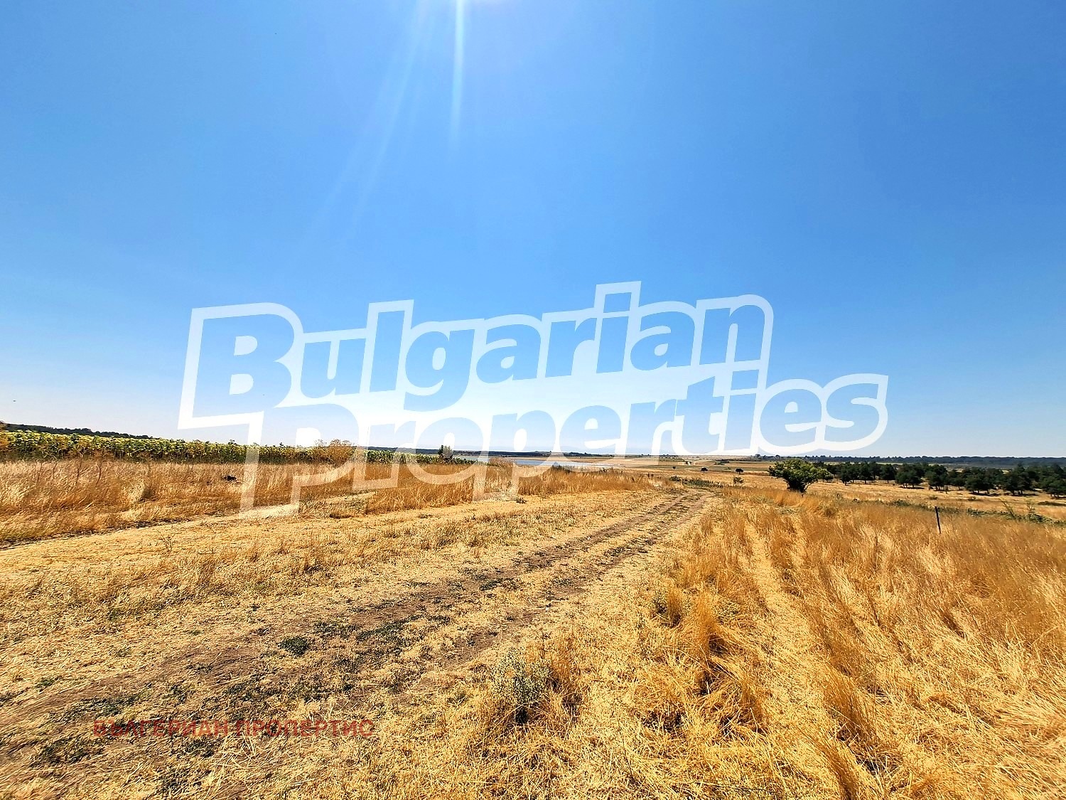������� ���� | Imot.bg � ����������� 6