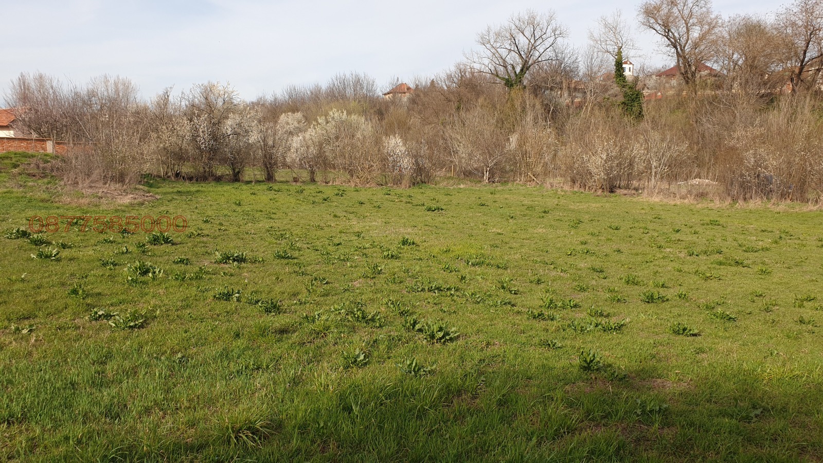 ������� ������ | Imot.bg � ����������� 1