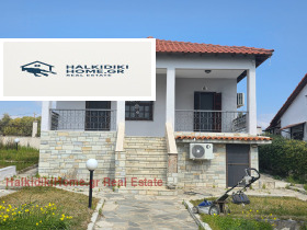 ������ ������� ����