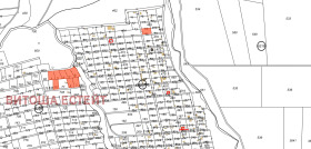 ����� ������� ������,���� �����, �. �����