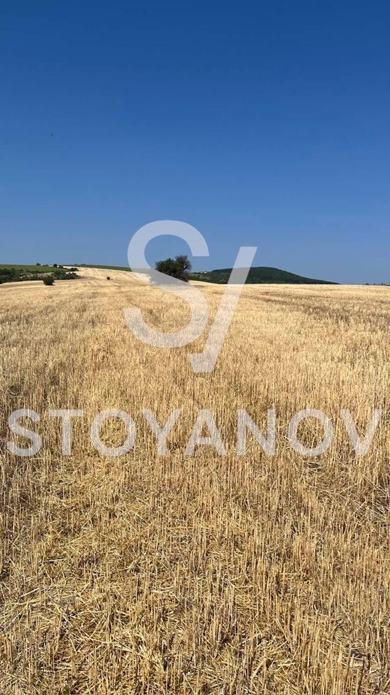 Продава КЪЩА, с. Пожарево, област София област, снимка 5 - Къщи - 55613476
