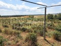 Продава КЪЩА, с. Беловица, област Пловдив, снимка 3