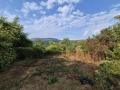 Продава ПАРЦЕЛ, с. Каран Върбовка, област Русе, снимка 4