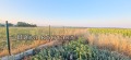 Продава ПАРЦЕЛ, област Варна, с. Кичево • 60000 € • 32789488 — Holmes.bg
