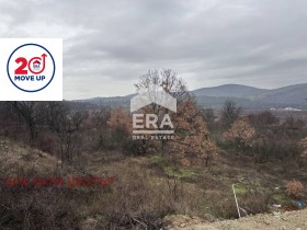 ������ ������� ������