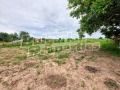 Продава ПАРЦЕЛ, с. Трънково, област Ямбол, снимка 5