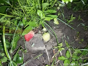 ������� ���� | Imot.bg � ����� ������ 10
