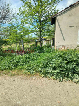 Grund Livada, region Burgas 4