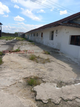 Grund Livada, region Burgas 6