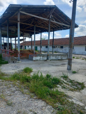 Grund Livada, region Burgas 7