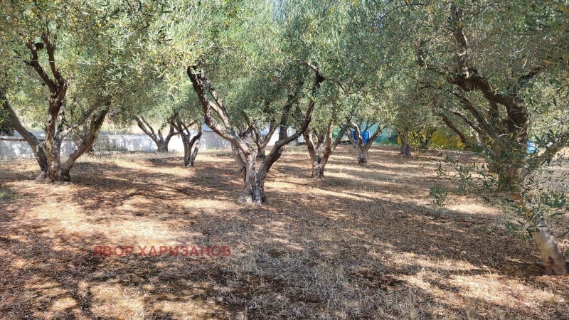 Продава КЪЩА, Извън страната, област Извън страната, снимка 12 - Къщи - 52496678