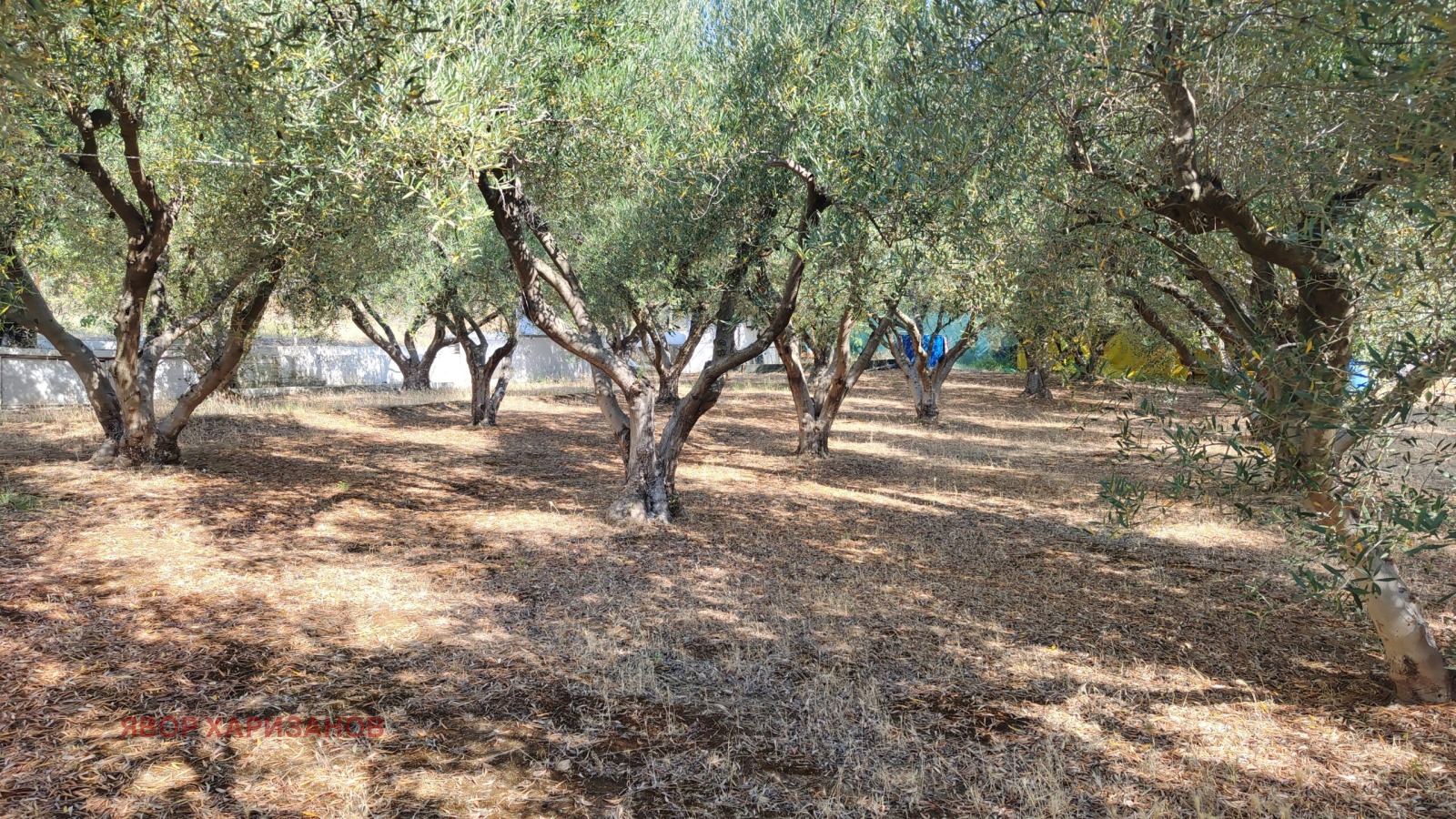 Продава КЪЩА, Извън страната, област Извън страната, снимка 13 - Къщи - 55127175