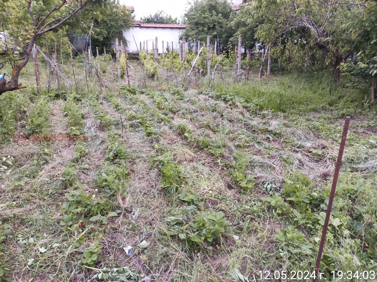Продава КЪЩА, с. Калипетрово, област Силистра, снимка 14 - Къщи - 56297470