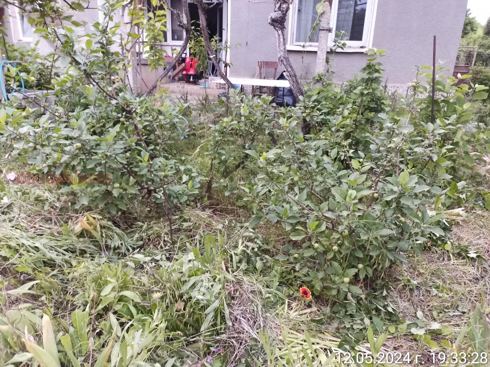 Продава КЪЩА, с. Калипетрово, област Силистра, снимка 12 - Къщи - 56297470