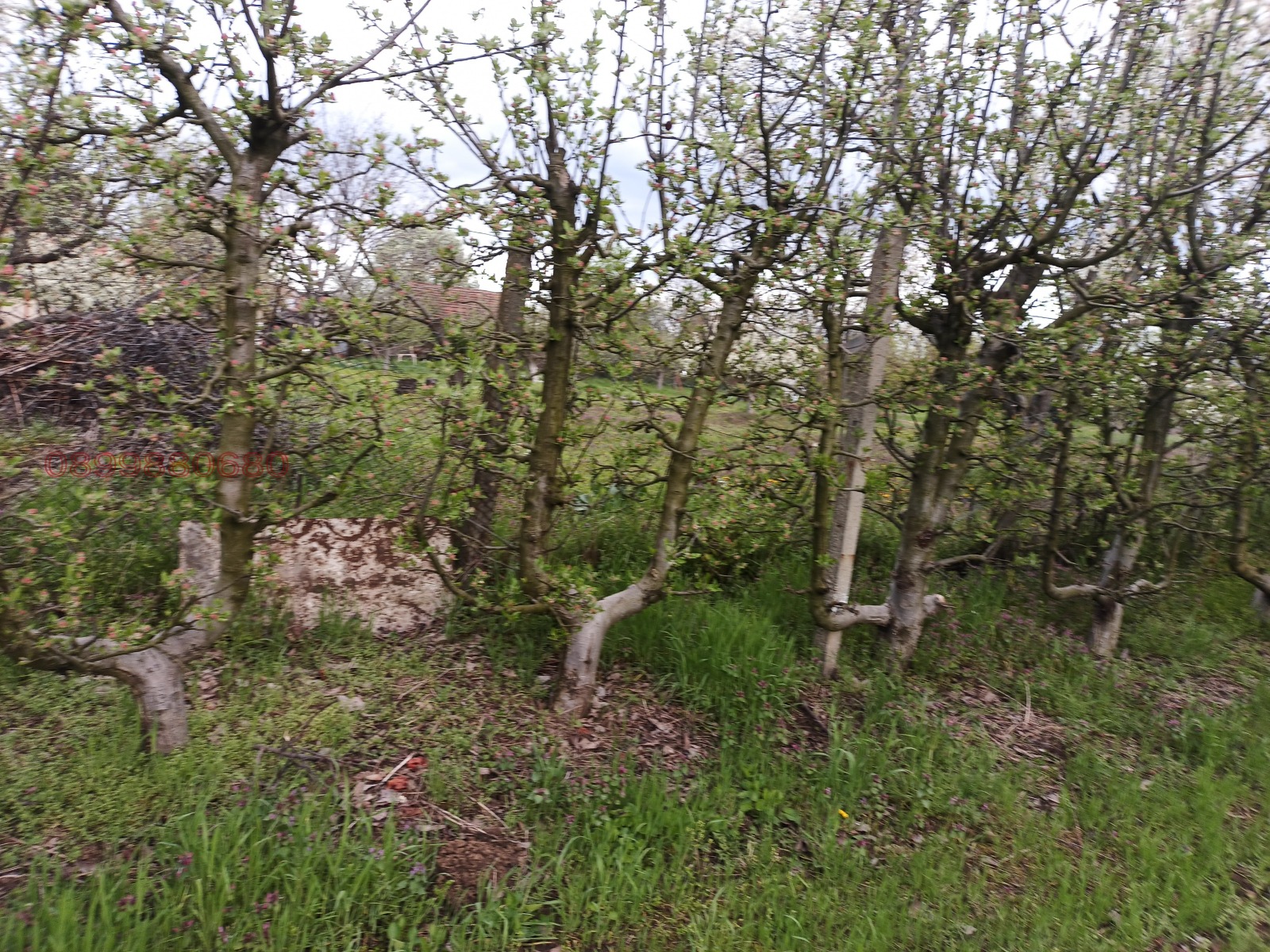 Продава КЪЩА, с. Калипетрово, област Силистра, снимка 9 - Къщи - 56297470