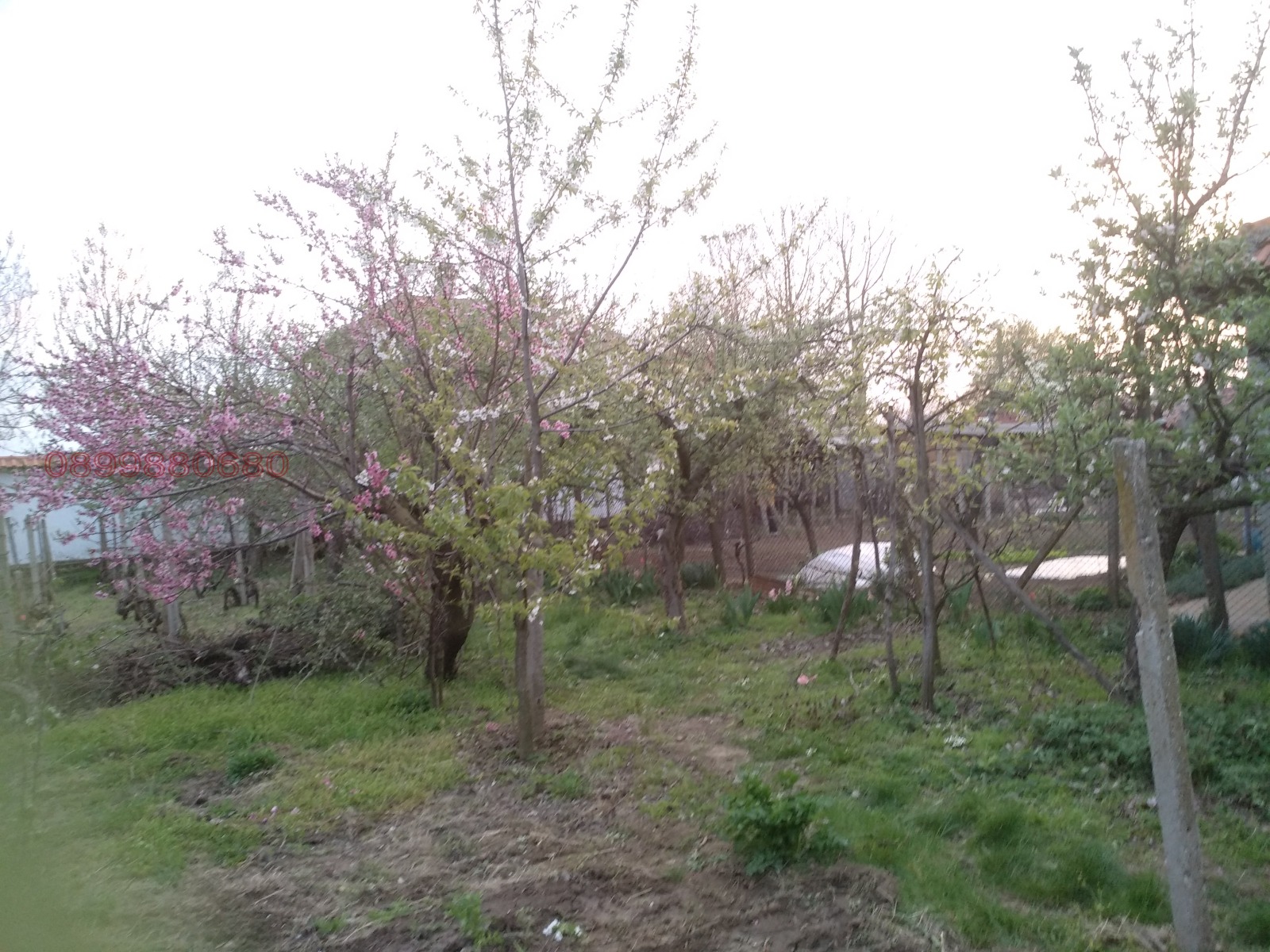 Продава КЪЩА, с. Калипетрово, област Силистра, снимка 11 - Къщи - 56297470