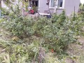 Продава КЪЩА, с. Калипетрово, област Силистра, снимка 15