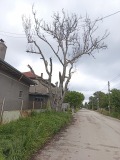 Продава КЪЩА, с. Калипетрово, област Силистра, снимка 6