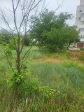Продава ПАРЦЕЛ, гр. Плевен, Дружба 4, снимка 6