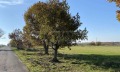 Продава ПАРЦЕЛ, област Бургас, с. Велика • 820000 € • 91298698 — Holmes.bg